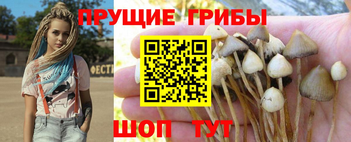 Краснокаменск  Псилоцибиновые грибы мухоморы  Галлюциногенные грибы ЛСД  Вход с VPN 